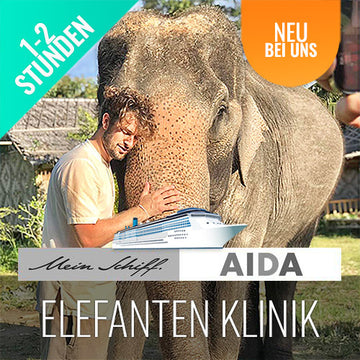 Elefanten Füttern Koh Samui - Landgang Kreuzfahrer - kohsamuiausflug.de